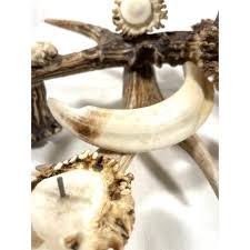 Antique Antler and Boar Tusks Candle Holder Centerpiece | Chairish