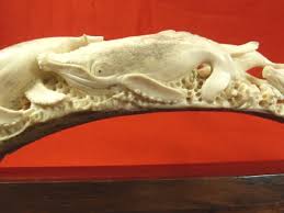 Whale-12 Humpback Whales of shed ANTLER figurine Bali detailed carving whale pod | eBay