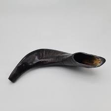 NEW Beautiful 13" Black Polished Shofar (Ram's Horn) FAST SHIPPING DAMAGED LIP | eBay