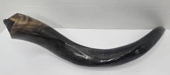 Yemenite Shofar Kudu Horn Polished | eBay