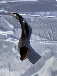 Small 20”Shofar Kudu | eBay
