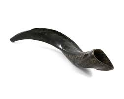 Natural Kosher Yemenite Shofar Kudu Horn Silver Plated - Etsy