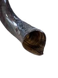 Yemenite Kudu Horn Shofar – Cowhides USA