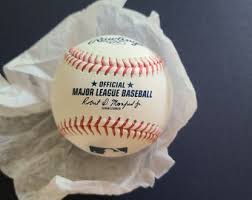 Danica Mckellar Signed Autographed Rawlings Baseball ( the ...