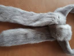 Very Long Fine Genuine Ermine Marten Light Gray Fur Collar ...
