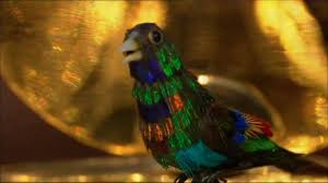 Antiques Roadshow: Singing Bird Box