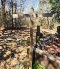 What is the purpose of the pole with two hooks in the backyard?