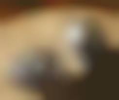 Haunting Seasoning Shakers : Skull Salt and Pepper