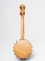1920s S. S. Stewart Collegion Banjo Ukulele – TR Crandall Guitars