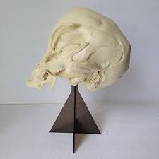 GREY ALIEN SKULL ~ Life-Size ~ Vintage 1996 RARE! ROSWELL/AREA 51/UFO | eBay