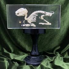Rabbit Skeleton Paperweight