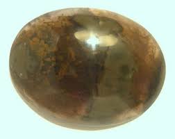 Priday Ranch Thunderegg Plume Agate 40x30x9.2mm Oval ...