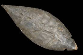 Incredible 5 1/2" Turkey Tail Found In Kentucky