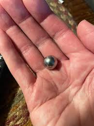 Feeding Crows and Receiving Gifts