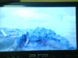 DSC00335 | ho yin cheng | Flickr