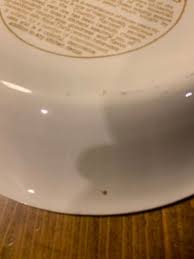 Vintage Ceramic Cherry Pie Plate - Etsy