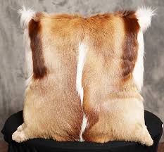 SPRINGBOK FULL HIDE PILLOW| 17"X17" | Aplha Shopping 1