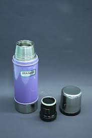 Disney Hydro Flask 2025 | levitan.com