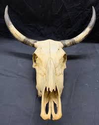 Sold at Auction: Longhorn Cow Skull Wall Accessory XL 2ft4in