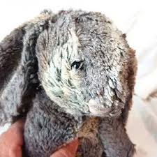 Jellycat | Toys | Jellycat Bashful Woodland Bunny Rabbit Brown Cream Stuffed Animal Plush | Poshmark