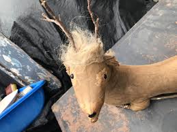 Antique Handmade Deer Soft Sculpture – A Rare Folk Art ...