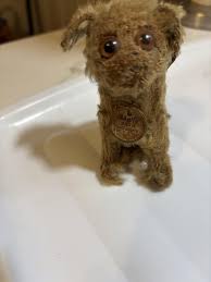 Discuss value : Pennsylvania United States of America : r/Antiques