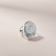 Ammonite Fossil Ring – Nina Berenato Jewelry