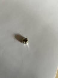 Authentic Pandora 925 Sterling Silver Clover Charm (790157) | eBay Australia