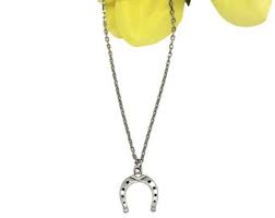 Silver Horseshoe Necklace: Stainless Steel Chain, Cowgirl ...