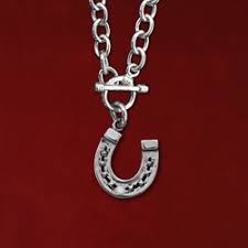 Sterling Horseshoe necklace cable chain with toggle