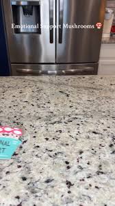 Watch The cutest gift Emotional Support Mushrooms on Amazon Live