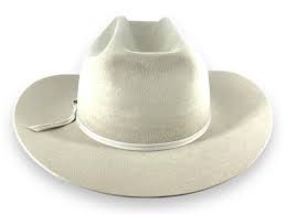 Sold at Auction: Stetson Cowboy Hat - Wisp - in Original Box