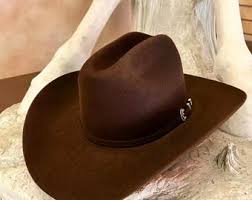 Vintage Mens Stetson Stallion Brown Pure Wool Cowboy Hat Size 6 7/8 - Etsy