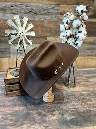 Bailey Lightning 4X Brown Hat – Wiseman's Western