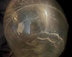 Vintage Whitehouse Vinagar Cider One Gallon Apple Round Jar ...