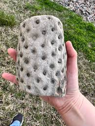 My niece showed me a “cool rock” she found and I immediately ...