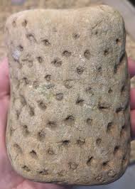 What's inside this *Stigmaria? : r/fossilid