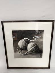 Platinum Palladium Print | eBay