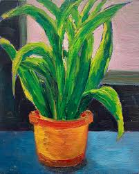 Dracaena — Laura Silverman Art