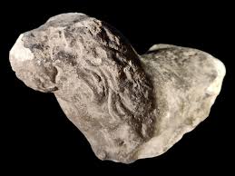 Gothic Lion XIV Century in Stone For Sale at 1stDibs