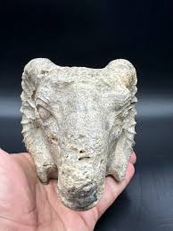A Very Unique Old Ancient Bactrian Ram Stone Head Figurine. | eBay