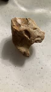 Unique Rock Found in NE Arkansas with Fossilized Seashells