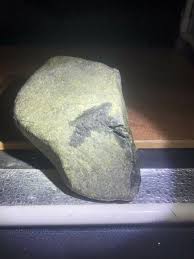 655g,burmese Jade Rough,jadeite Stone,olive Green,black ...