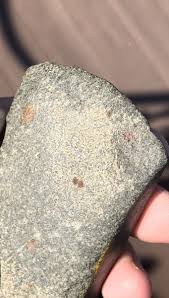 Greenstone Celt Florida Native American Artifact Axe head ...