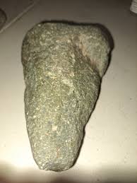 My first post, first finds. Need help identifying - Fossil ...