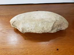 Rare Double Natural Trilobite Fossil of a Fish in One Nodule ...