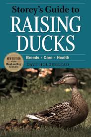 Storey's Guide to Raising Ducks – Mother Earth News