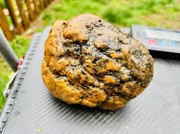 Glacial Boundary Geode Jackson County, Indiana | eBay