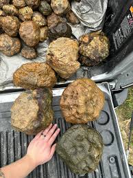 Rockhounds of Central Kentucky | Facebook