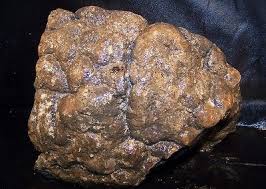 Cotham Marble Stromatolite Stone Fossil Faced Rough - England - 10.2 lbs | #503991316